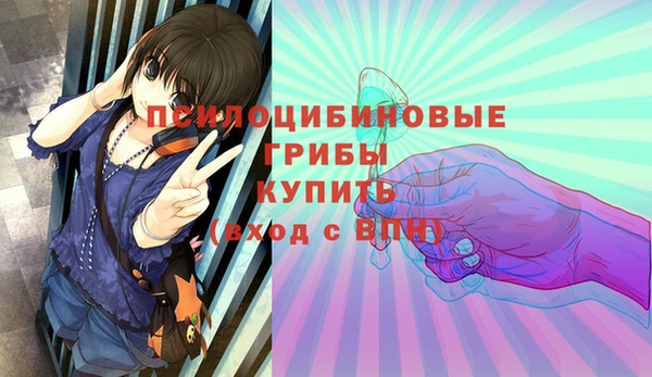 ECSTASY Алексин