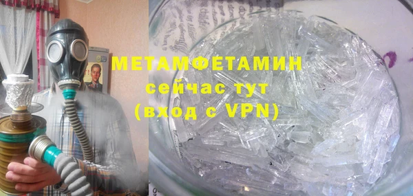 ПСИЛОЦИБИНОВЫЕ ГРИБЫ Михайлов