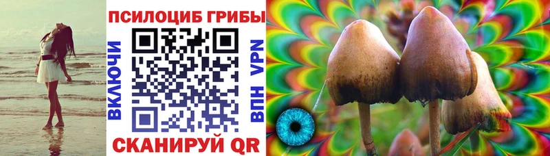 купить   Бийск  Псилоцибиновые грибы прущие грибы 