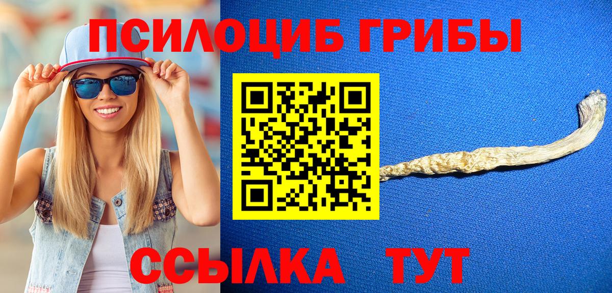 Бийск  где найти наркотики  Псилоцибиновые грибы GOLDEN TEACHER  Вход с VPN  Галлюциногенные грибы мухоморы 