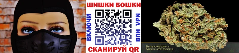 Каннабис план  Бийск 